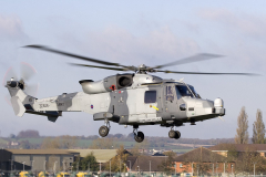 Wildcat helicopter